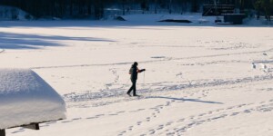 Зимняя пауза Печерского лесопарка: солнце, снег и тишина