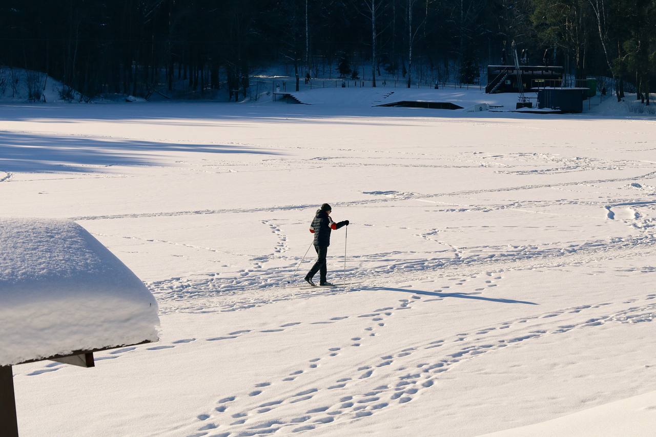 Зимняя пауза Печерского лесопарка: солнце, снег и тишина