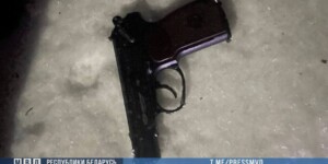 Приехали на «подработку» с ножами и пистолетами: в Смолевичском районе задержаны подростки, напавшие на дом по заказу из Telegram