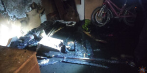 При пожаре в Горках работники МЧС спасли двоих подростков