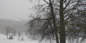 Погода на выходные: небольшое потепление перед новыми морозами в Могилевской области