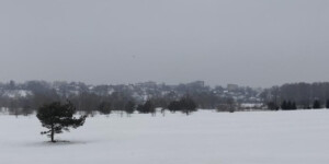 Снег, гололед и температурные качели: циклон приходит на Могилев и область 23 февраля