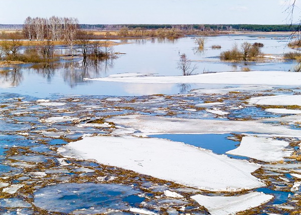 Весенний паводок близко — как защитить дом и имущество