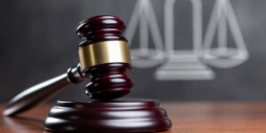 В Круглянском районе директор сельхозорганизации предстанет перед судом