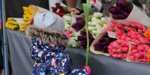 Цветы к 8 Марта: продаем по закону