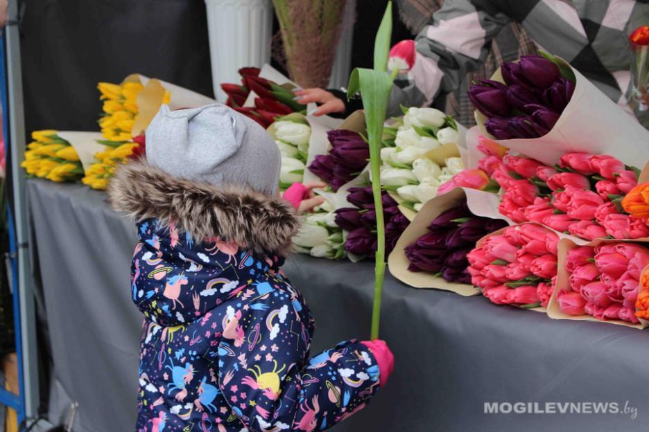 Цветы к 8 марта: продаем по закону