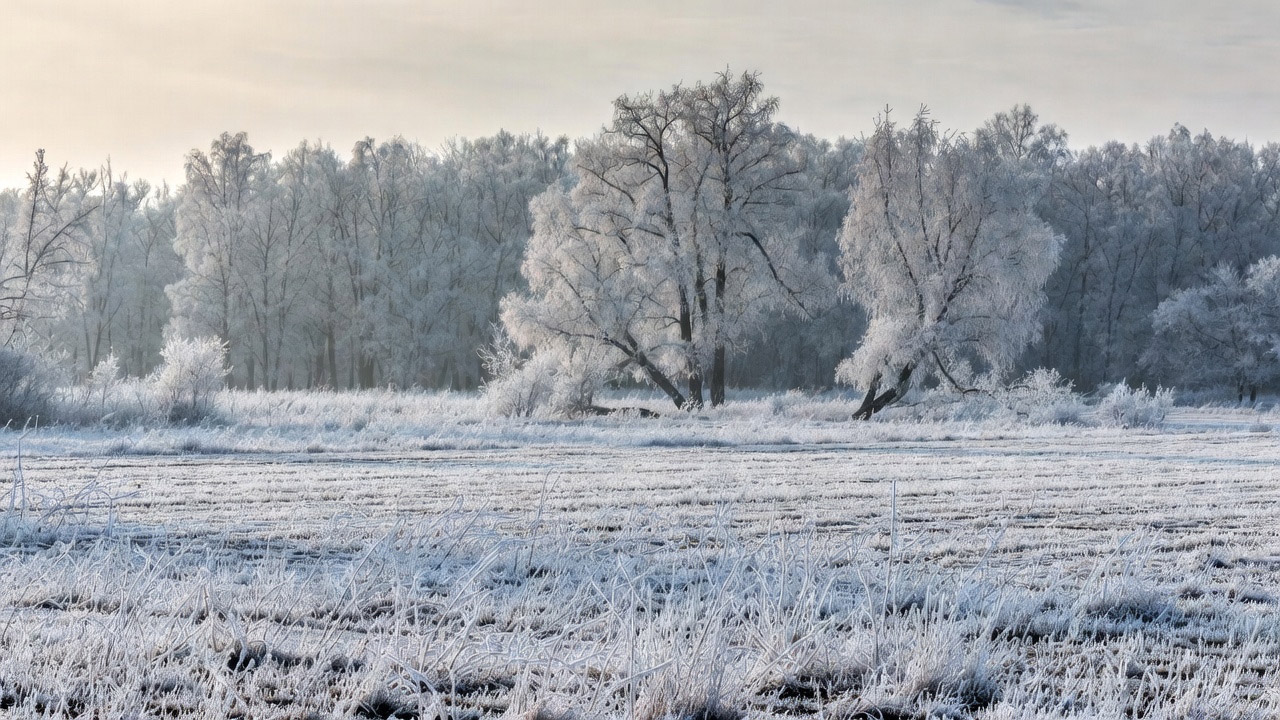 Григорий-весноуказатель: какие приметы 7 февраля подсказывают, когда придет весна и какой будет зима