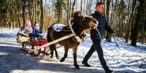 Погода на 18 февраля: морозно и преимущественно без осадков в Могилевской области