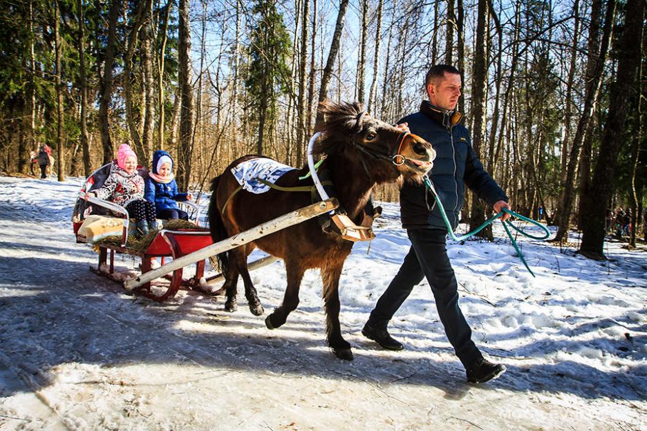 Погода на 18 февраля: морозно и преимущественно без осадков в Могилевской области