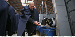 «За телят головой ответите»: Лукашенко потребовал железного порядка в сельском хозяйстве