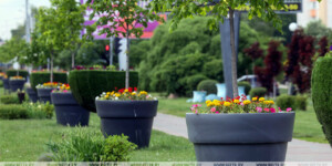 Подведены итоги Года благоустройства — кто среди победителей?