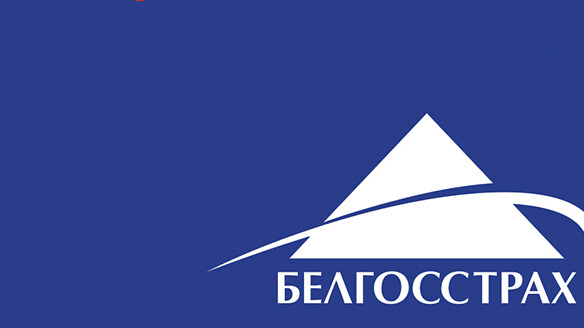 Защита своими силами: как снизить риски и минимизировать возможные убытки гражданской ответственности