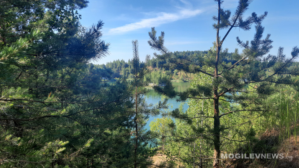 Весна набирает силу: узнали, какая погода ожидается в начале следующей недели в Могилевской области