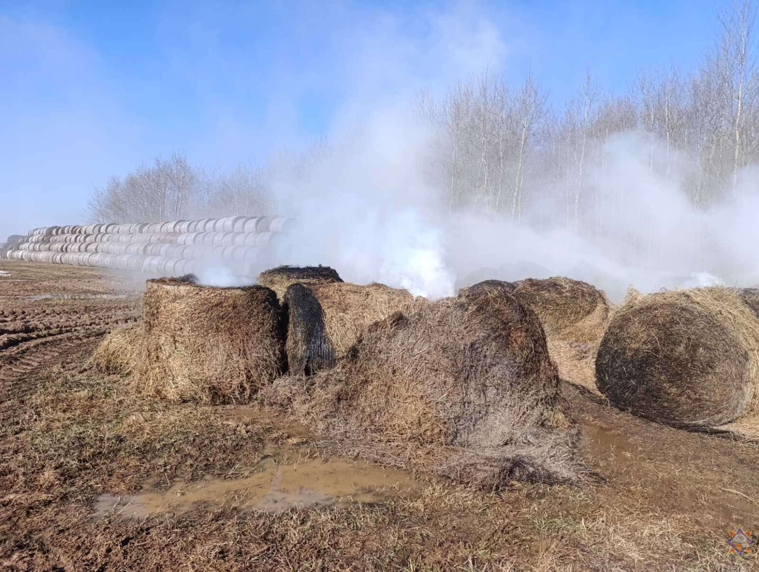 Сено в рулонах горело под Горками