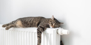 В Могилеве с 30 марта отключают отопление. Кто первый?