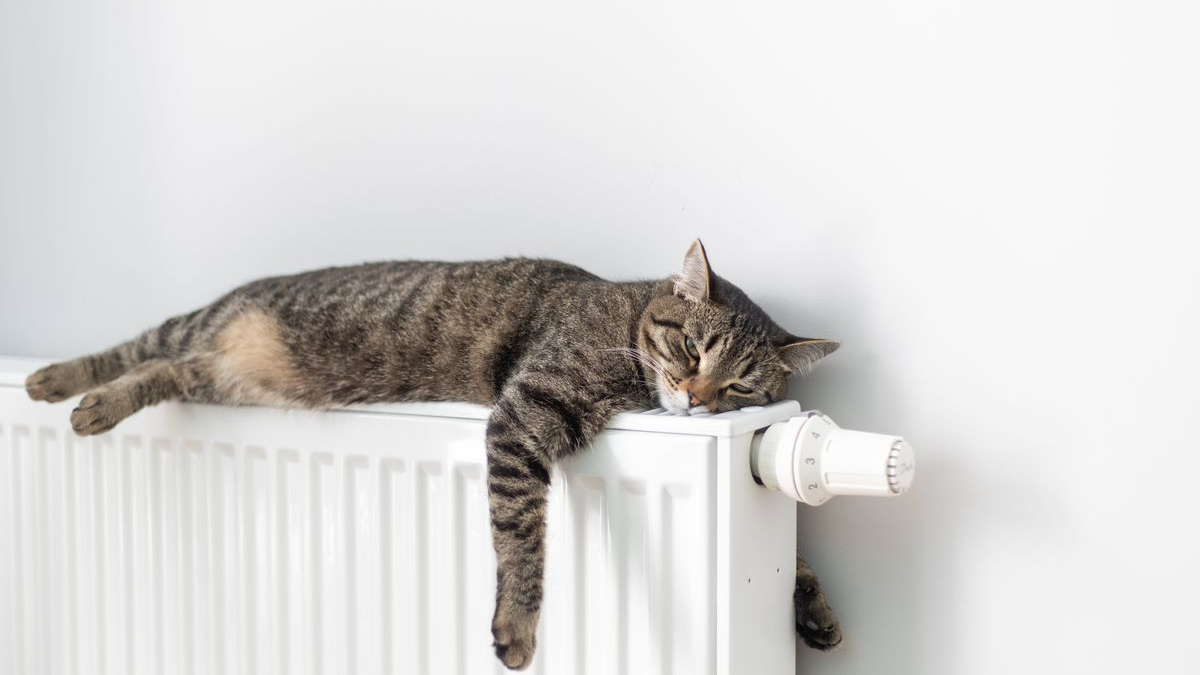 В Могилеве с 30 марта отключают отопление. Кто первый?