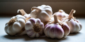 Чем подкормить чеснок, чтобы головки были крупными: полный календарь питания от всходов до сбора