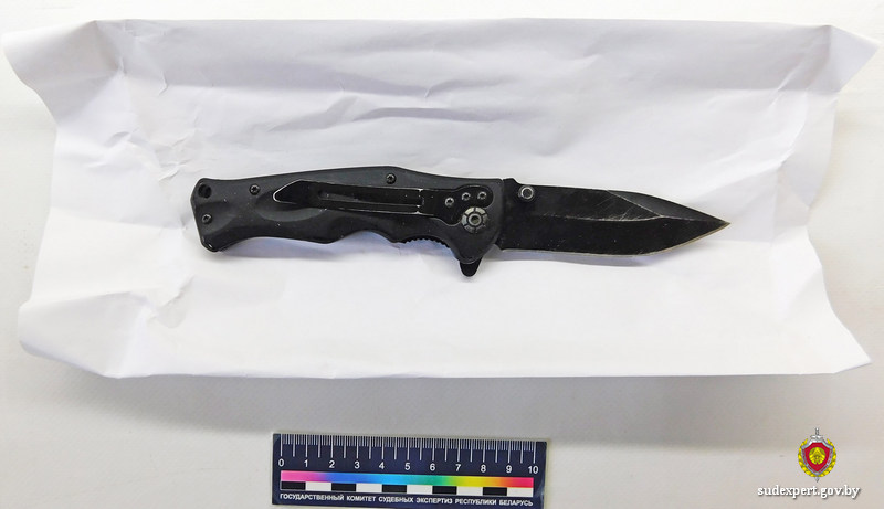 В поисках приключений: могилевчанин нанес 11 ножевых случайному прохожему