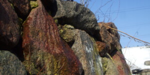 Погода на 6 марта: все еще холодный ветер, но уже устойчивый дневной «плюс» в Могилевской области