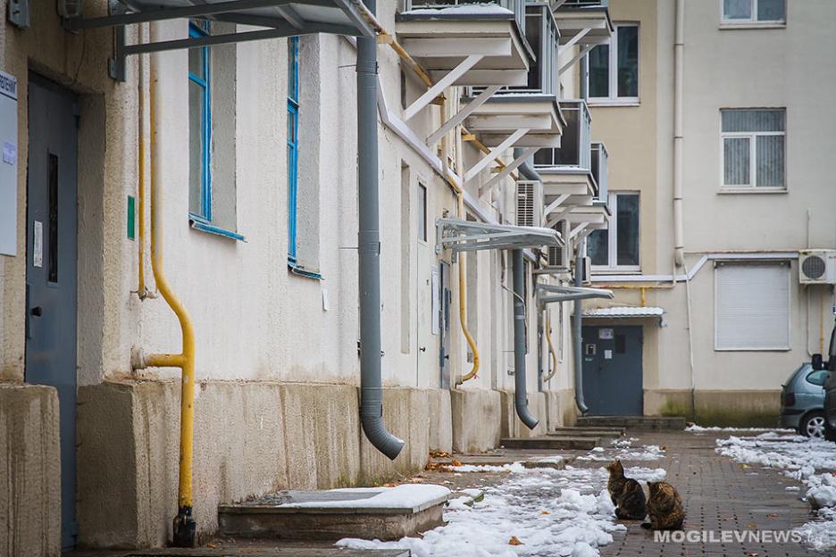 Погода на 14 марта: около 0°С ночью, до +14°С в дневные часы и без осадков в Могилевской области