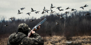 В Беларуси 14 марта открывается весенний сезон охоты на гусей и уток