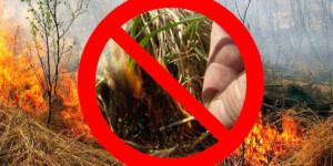 За сутки 9 пожаров: МЧС предупреждает жителей Могилевщины