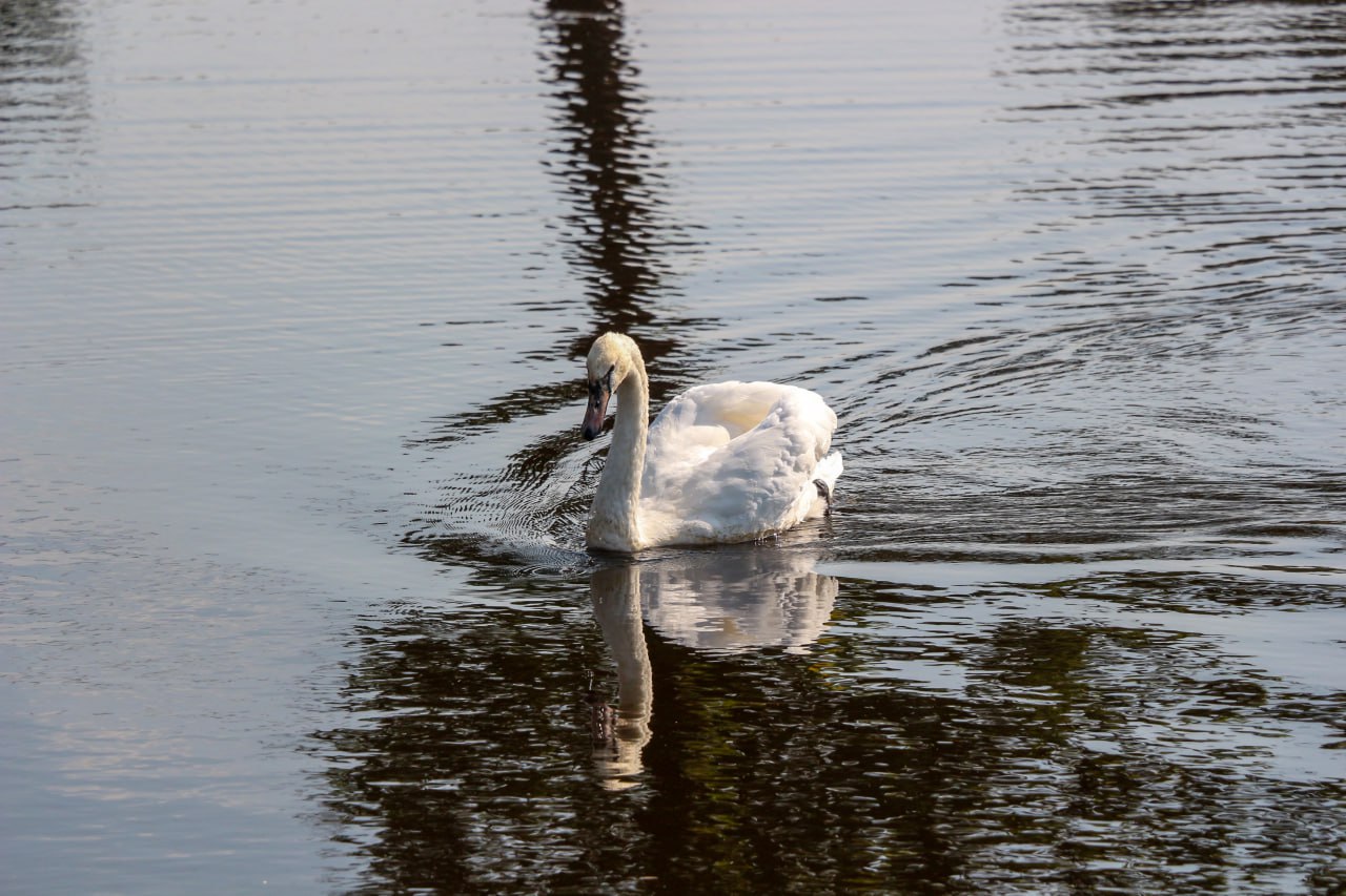 Погода на 17 марта: ночные заморозки и до +12°С в дневные часы в Могилевской области