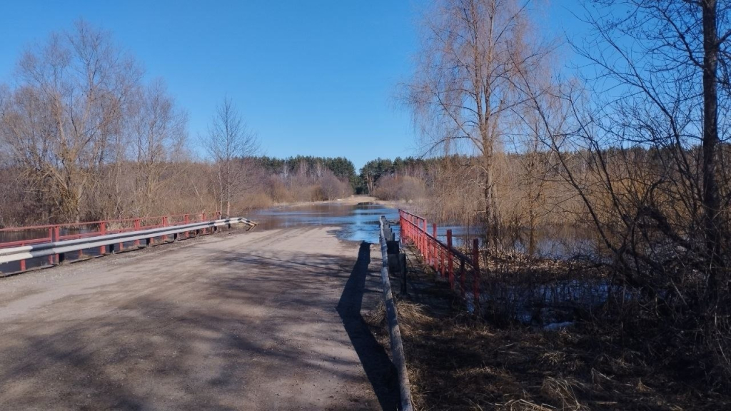 Дорогу подтопило под Хотимском — как объехать