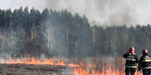 Сжигаете траву? Вот какие штрафы грозят в этом году