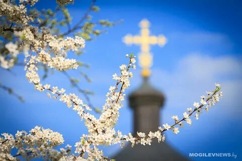 Погода на 24 марта: ночью еще «минус», а днем все теплее в Могилевской области