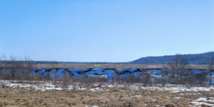 До +15°C и без осадков: какой будет погода 15 марта в Могилевской области