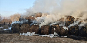 27 тонн сена сгорело в Быхове