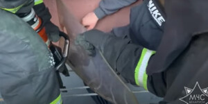 В Бобруйске спасатели помогли мужчине, застрявшему ногой в металлической решетке
