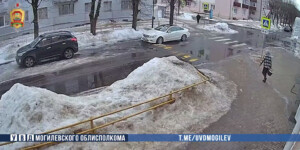 В Могилеве поймали мужчину, пытавшегося украсть продукты