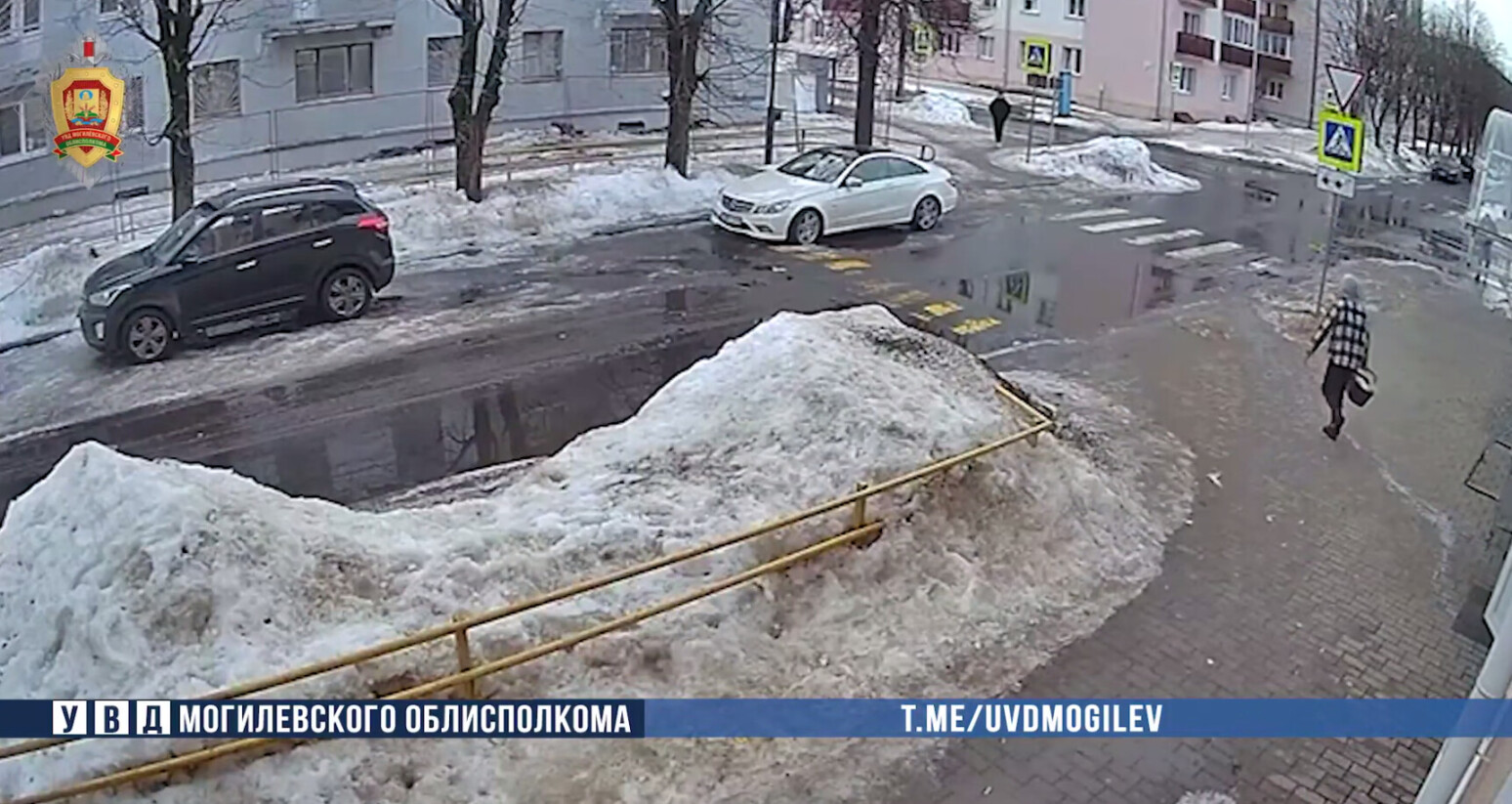 В Могилеве поймали мужчину, пытавшегося украсть продукты