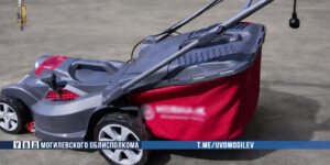 Помогал по хозяйству, а потом обокрал — что произошло