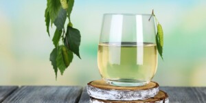 Весенний дар природы: польза березового сока и где купить свежий в Могилеве