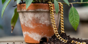 Уснул в гостях — остался без золота: романтическая встреча в Могилеве закончилась кражей