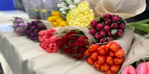 Погода на выходные: до +10°С и без осадков в Могилевской области