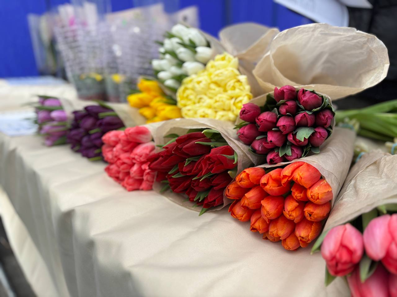 Погода на выходные: до +10°С и без осадков в Могилевской области