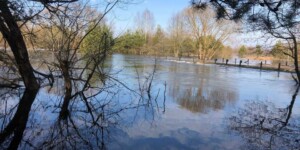 Погода на 23 марта: синоптики рассказали, сколько солнца и осадков ожидается в Могилевской области