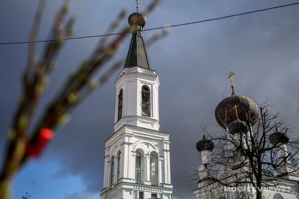 Погода на 10 марта: без осадков, малооблачно и около +10°С в Могилевской области