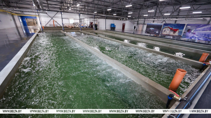 Лукашенко совершает рабочую поездку в Могилевскую область