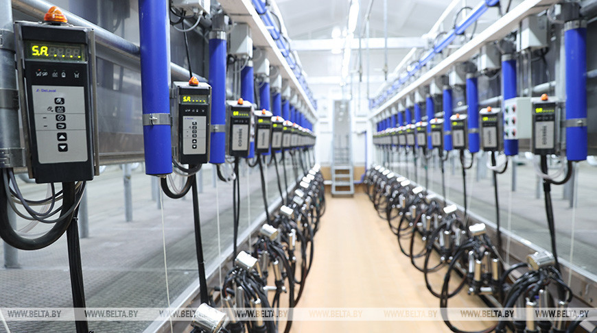 Лукашенко подписал указ о развитии молочной отрасли 