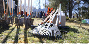 В Беларуси стартовал республиканский субботник