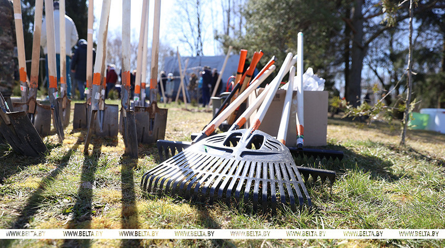 В Беларуси стартовал республиканский субботник
