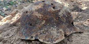 Новое захоронение жертв нацизма обнаружили в Могилеве