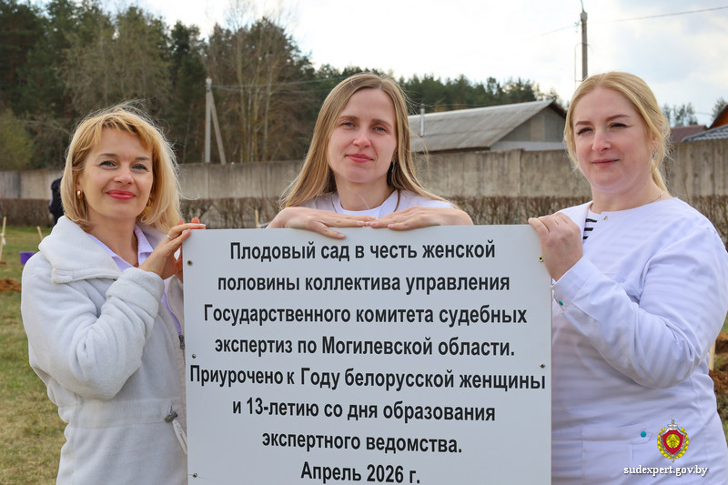 Плодовый сад в подарок женщинам высадили могилевские эксперты. Фото