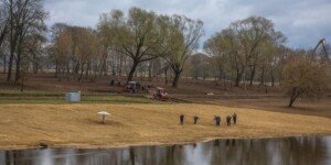 Похолодание, ночные заморозки и сильный ветер ожидаются в Могилевской области в начале следующей недели