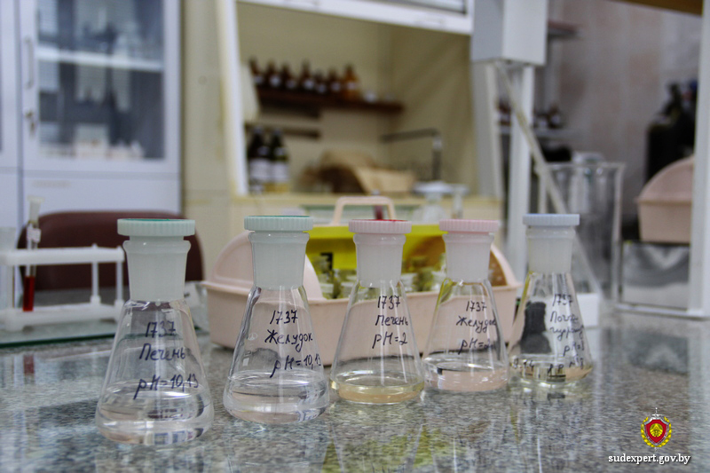 Почти шесть промилле: ряд «рекордных» смертельных случаев отравления алкоголем произошел в Могилевской области